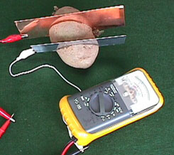 Science Fair Project Potato Battery Light Bulb