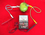 Fruit Electricity