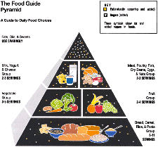 Healthy+eating+plan+comparison+assignment